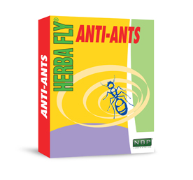 Herba Fly Anti-Ant Plate